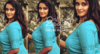 പല രാത്രികളിലും ശാലു മേനോൻ വീട്ടിൽ ഇല്ല; എനിക്ക് അദ്ദേഹത്തിനേക്കാൾ വലുത് അതൊക്കെ തന്നെയാണ്; ശാലു മേനോനും ഭർത്താവും വിവാഹമോചനത്തിലേക്ക്…!!